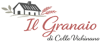 Il Granaio di Vichinano